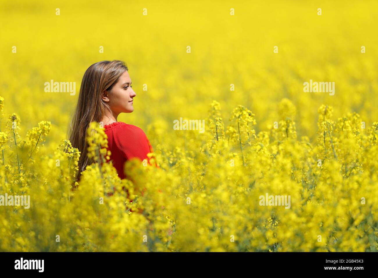 Frau in Rot, die in einem gelben Feld in der Frühjahrssaison nachdenkt Stockfoto