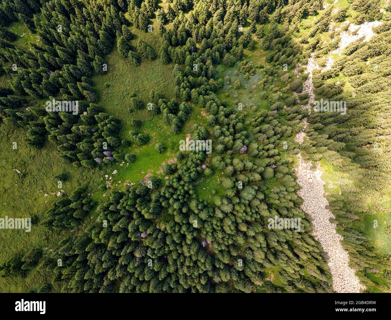 Luftaufnahme des Konyarnika-Gebietes am Vitosha-Berg, Region Sofia City, Bulgarien Stockfoto