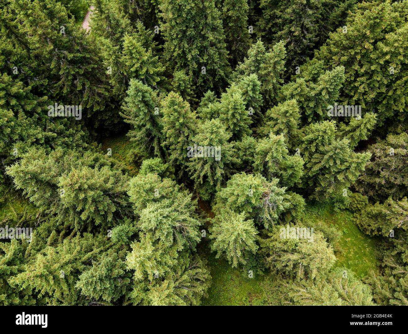Luftaufnahme des Konyarnika-Gebietes am Vitosha-Berg, Region Sofia City, Bulgarien Stockfoto