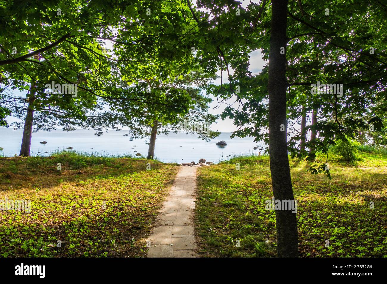 Steinweg durch den Wald zum Strand Stockfoto