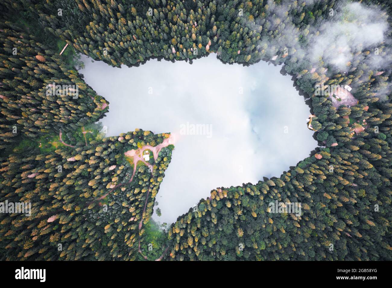 Luftaufnahme des wilden Synevir-Sees in den Karpaten in der Ukraine. Nebliger See im Sommerherbstwald. Landschaftsfotografie Stockfoto