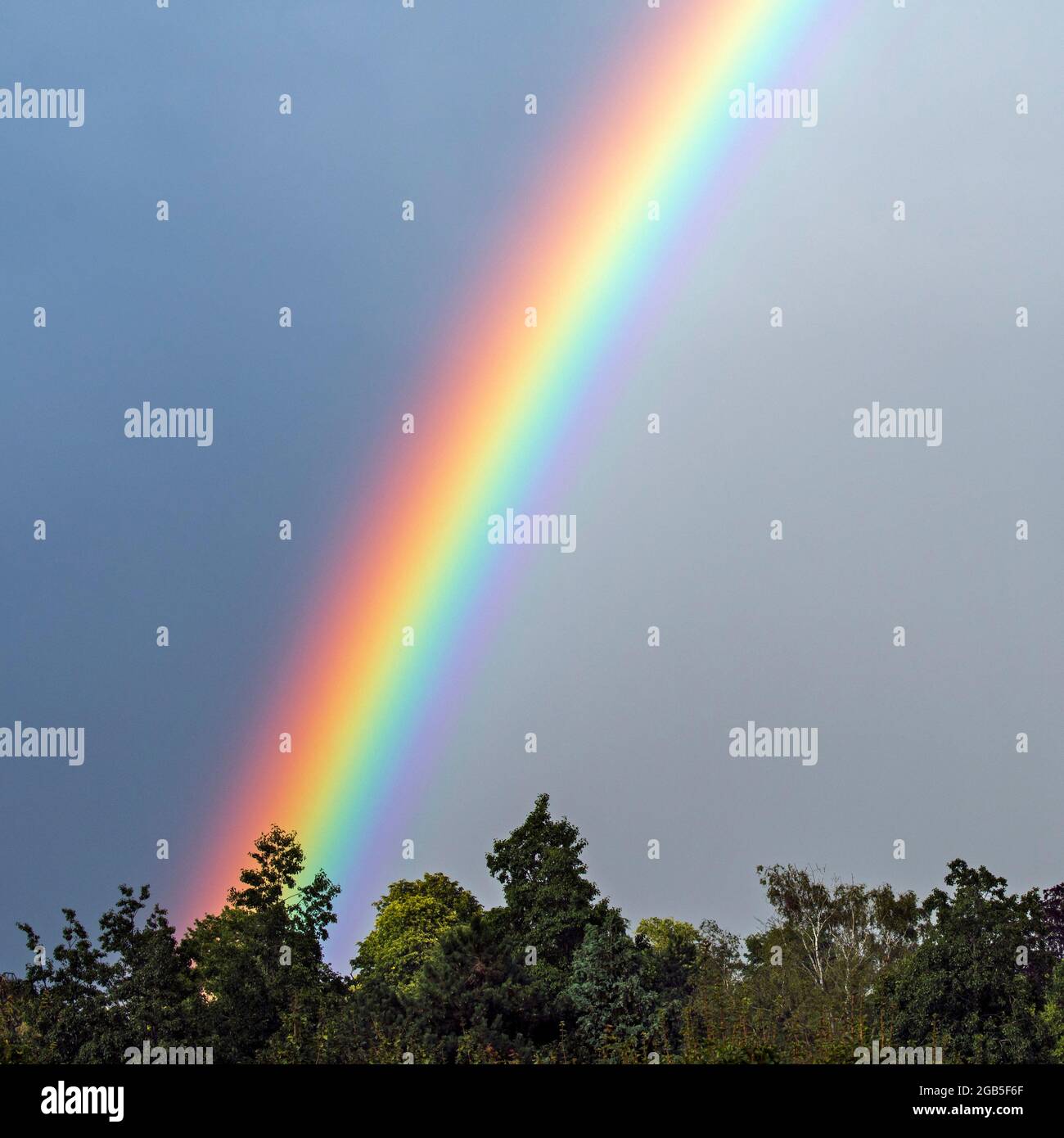 Regenbogen, mehrfarbiger Kreisbogen, meteorologisches Phänomen, das durch Reflexion, Brechung und Lichtstreuung in Wassertröpfchen verursacht wird Stockfoto
