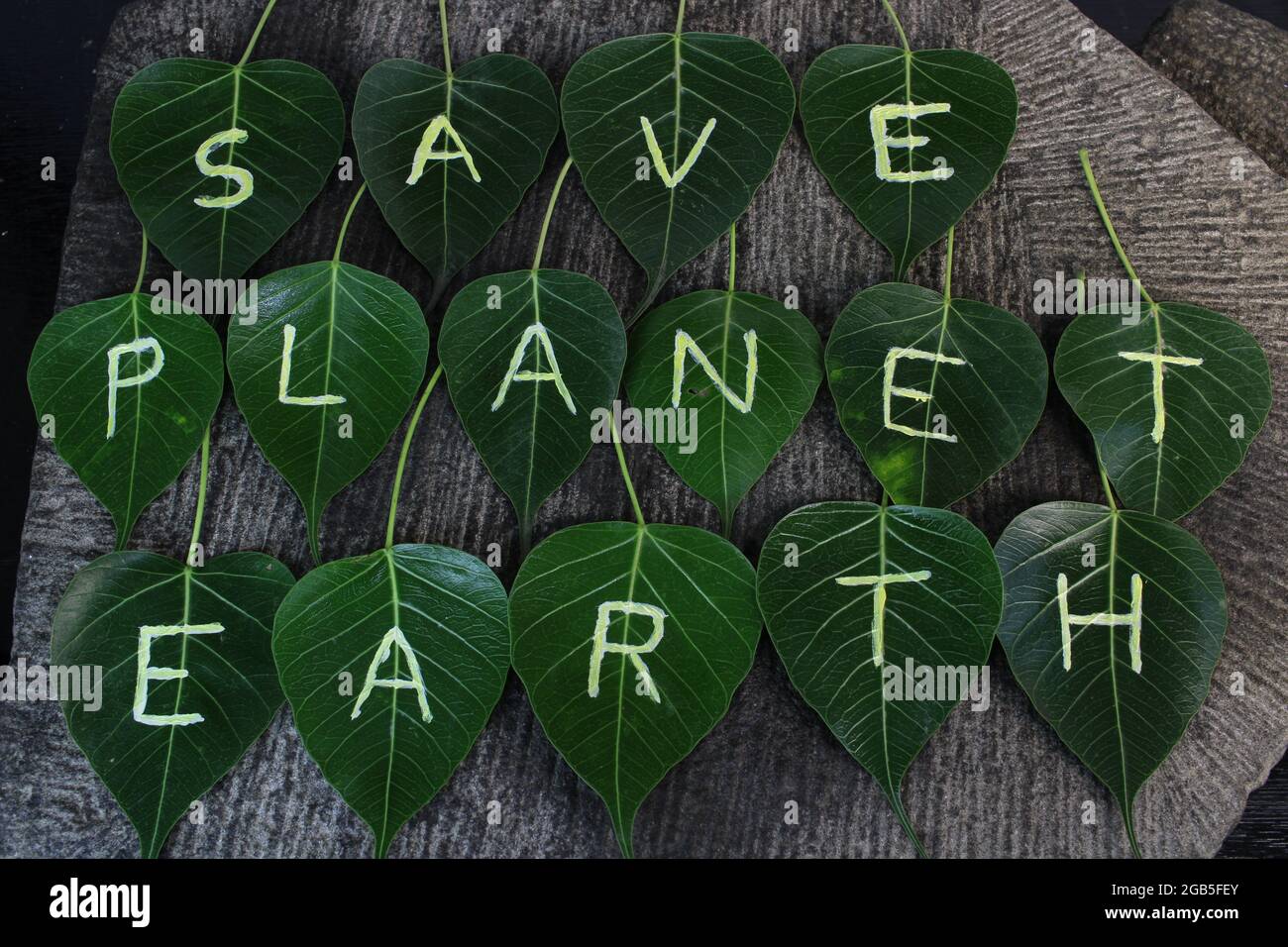 Weltumwelttag. World Earth Day Konzept. Handprint als grüne Blatt Textur Oberfläche. Tag der Erde und Ökologie. Grüne Energie, Erneuerbare Energien Stockfoto