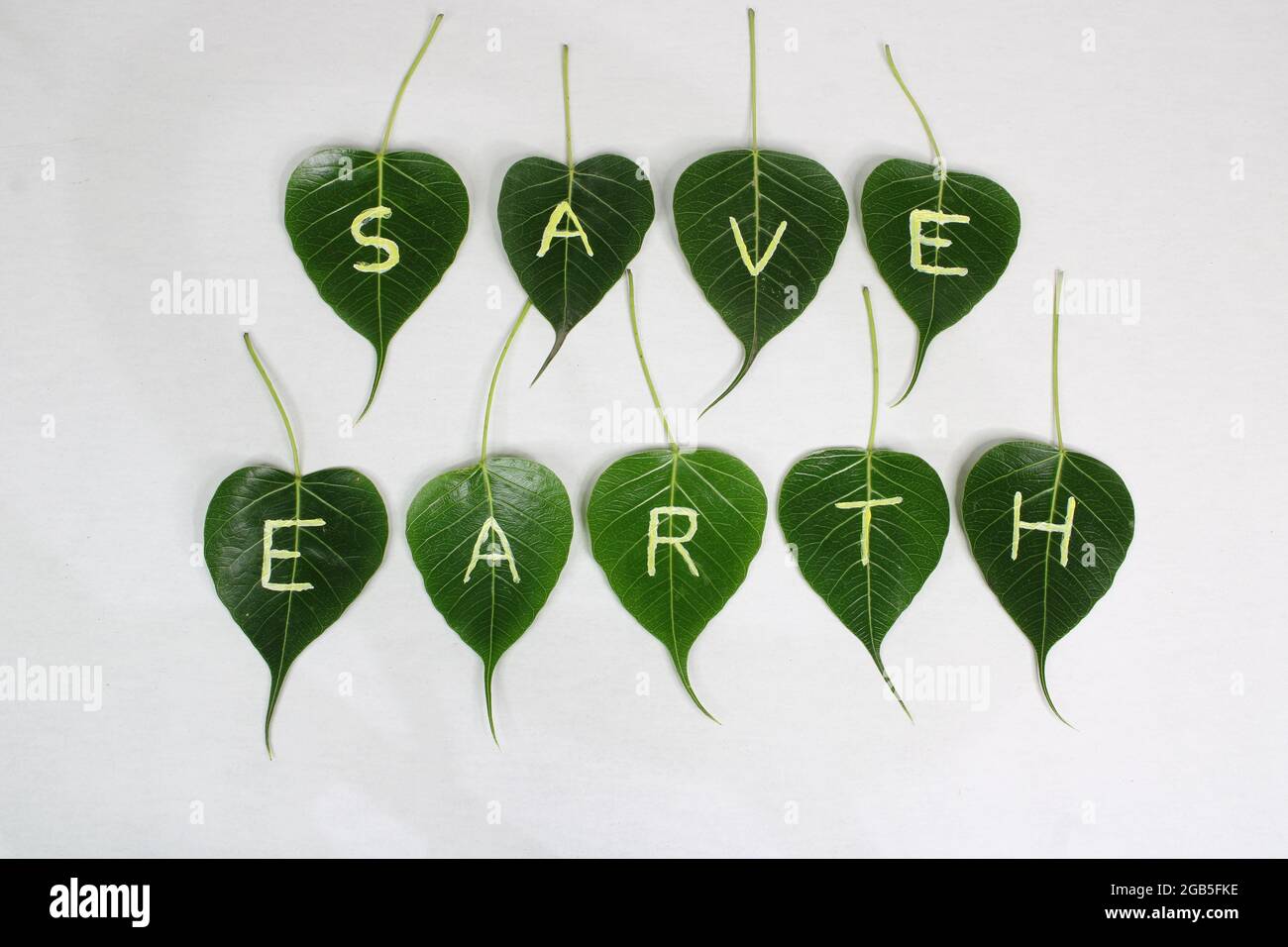 Weltumwelttag. World Earth Day Konzept. Handprint als grüne Blatt Textur Oberfläche. Tag der Erde und Ökologie. Grüne Energie, Erneuerbare Energien Stockfoto