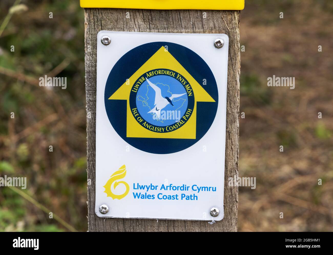 Schild Isle of Anglesey Coastal Path, Teil des Wales Coast Path, Anglesey, Wales, Großbritannien für Wanderurlaube. Stockfoto