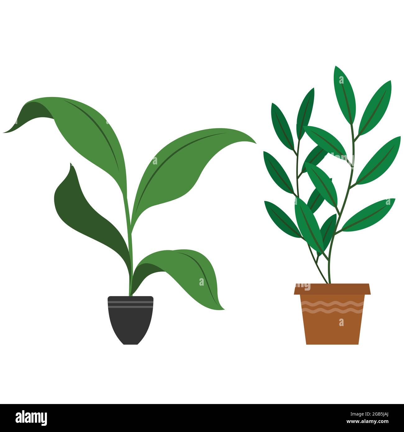 Vektor-Design von Topfpflanzen Innendekoration Stock Vektor