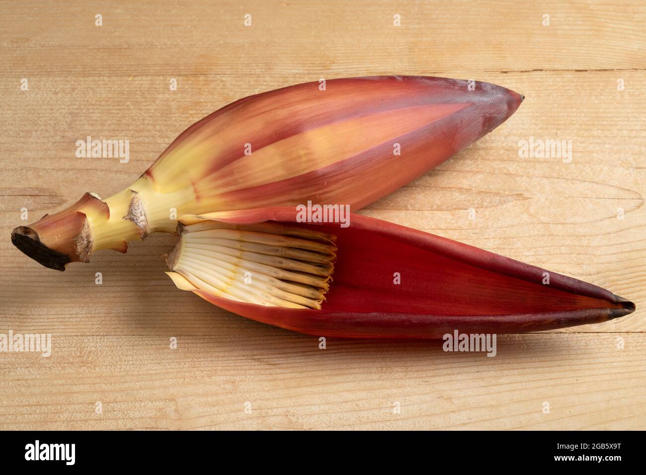 Frische rohe tropische Bananenblüten und Blätter aus nächster Nähe Stockfoto