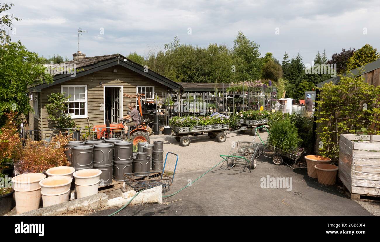 England, Großbritannien. 2021. Garten Kindergarten Arbeitsbereich mit Anhängern mit Topfpflanzen bereit zum Verkauf. Stockfoto