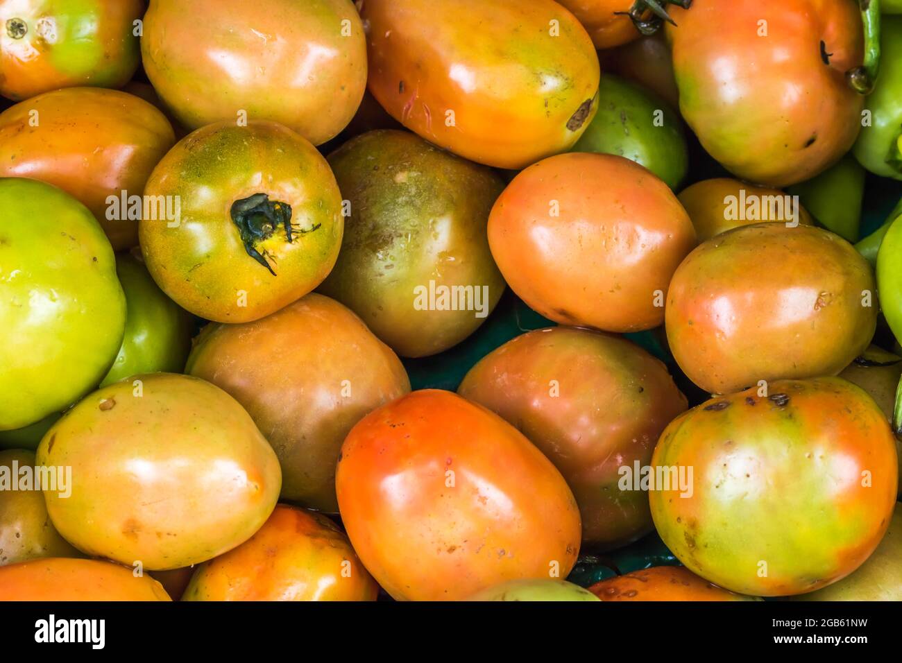 Tomaten in einem Gemüsestände in Nuwara Eliya Sri Lanka Stockfoto