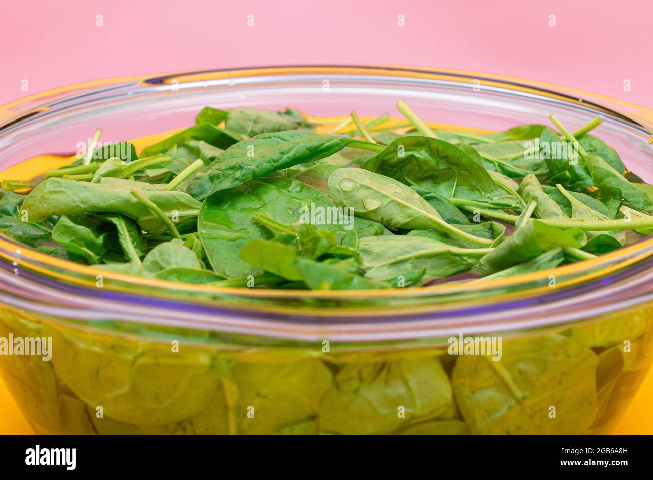 Frisches Baby Spinat Blätter im Wasser in Glasschale auf gelbem Hintergrund. Vegane und vegetarische Kultur. Rohkost, Grüne Blätter. Gesunde Ernährung Stockfoto