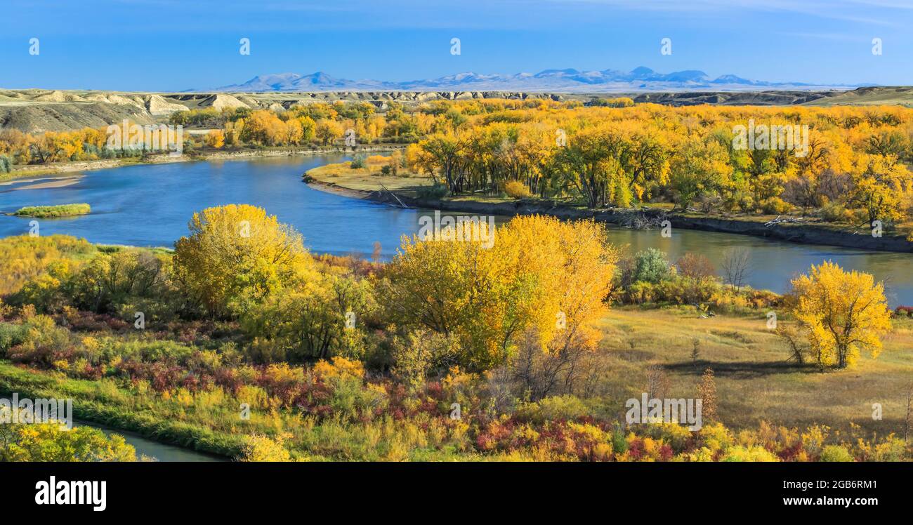Panorama der Herbstfarben entlang des missouri Flusses in der Nähe von loma, montana, mit den bearpaw Bergen in der Ferne Stockfoto