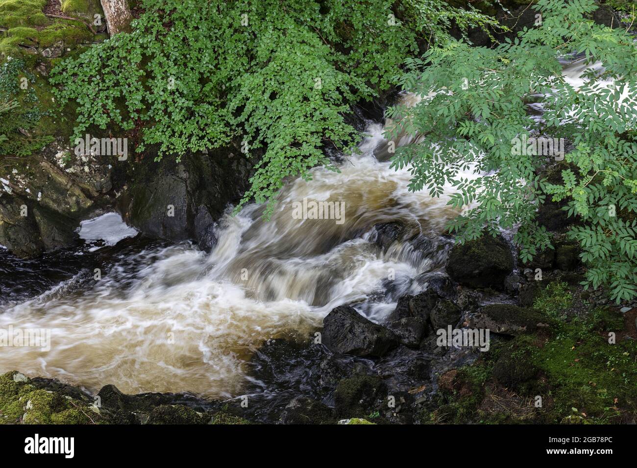 Ddu rhaeadr Wasserfällen, Ganllwydd, Coed Ganllwydd National Nature Reserve, Snowdonia National Park, Gwynedd, Wales, Großbritannien Stockfoto