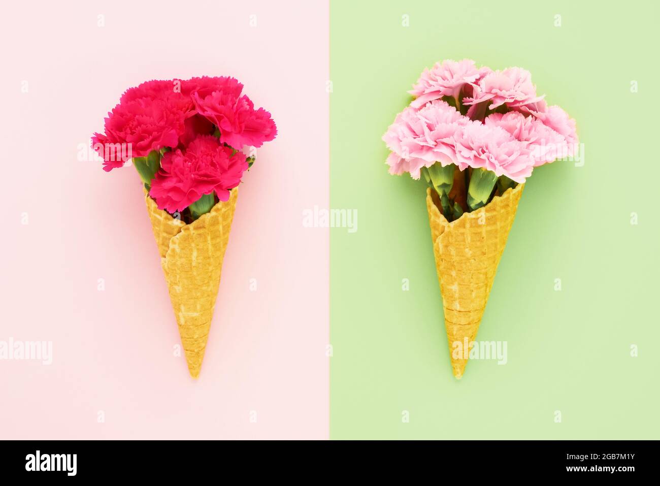 Eiszapfen mit Waffeleisen und rosa Nelkenblüten auf rosa-grünem Hintergrund. Sommerkonzept. Platz für Text kopieren, Draufsicht Stockfoto