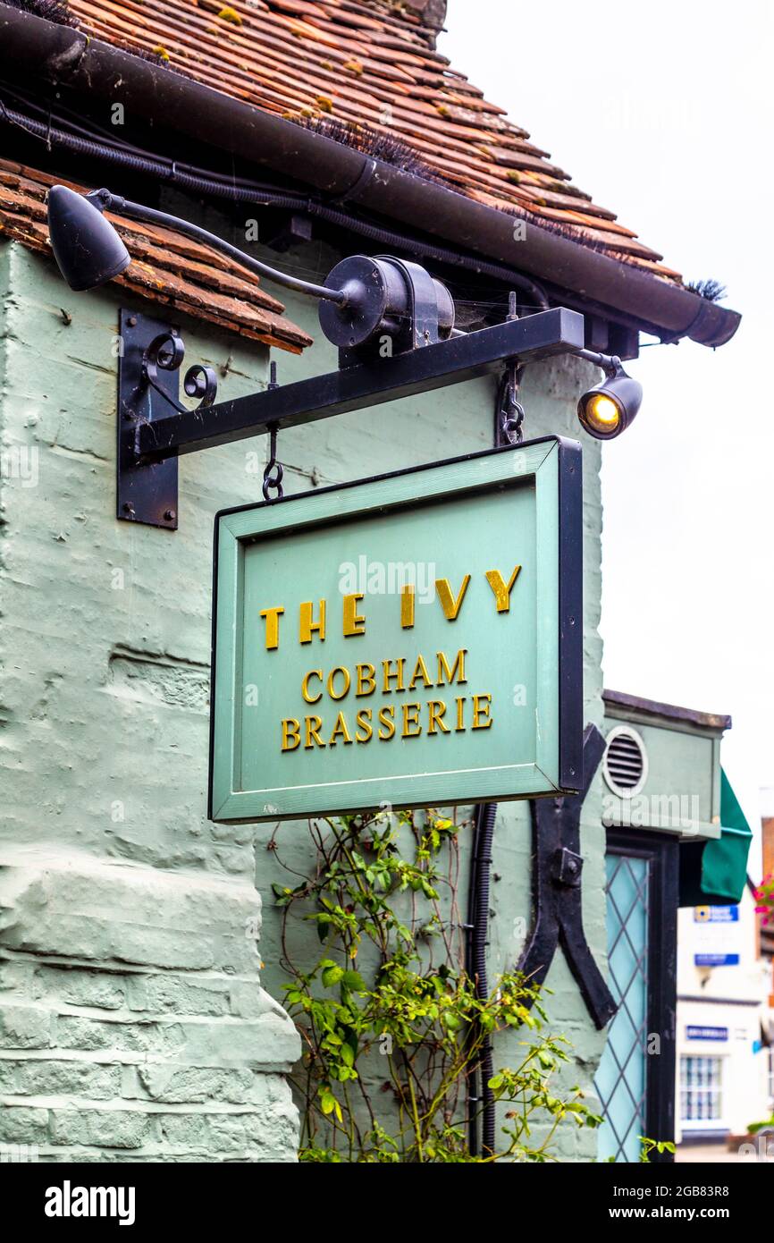 Schild an der Außenseite der Ivy Cobham Brasserie, Cobham, Surrey, Großbritannien Stockfoto
