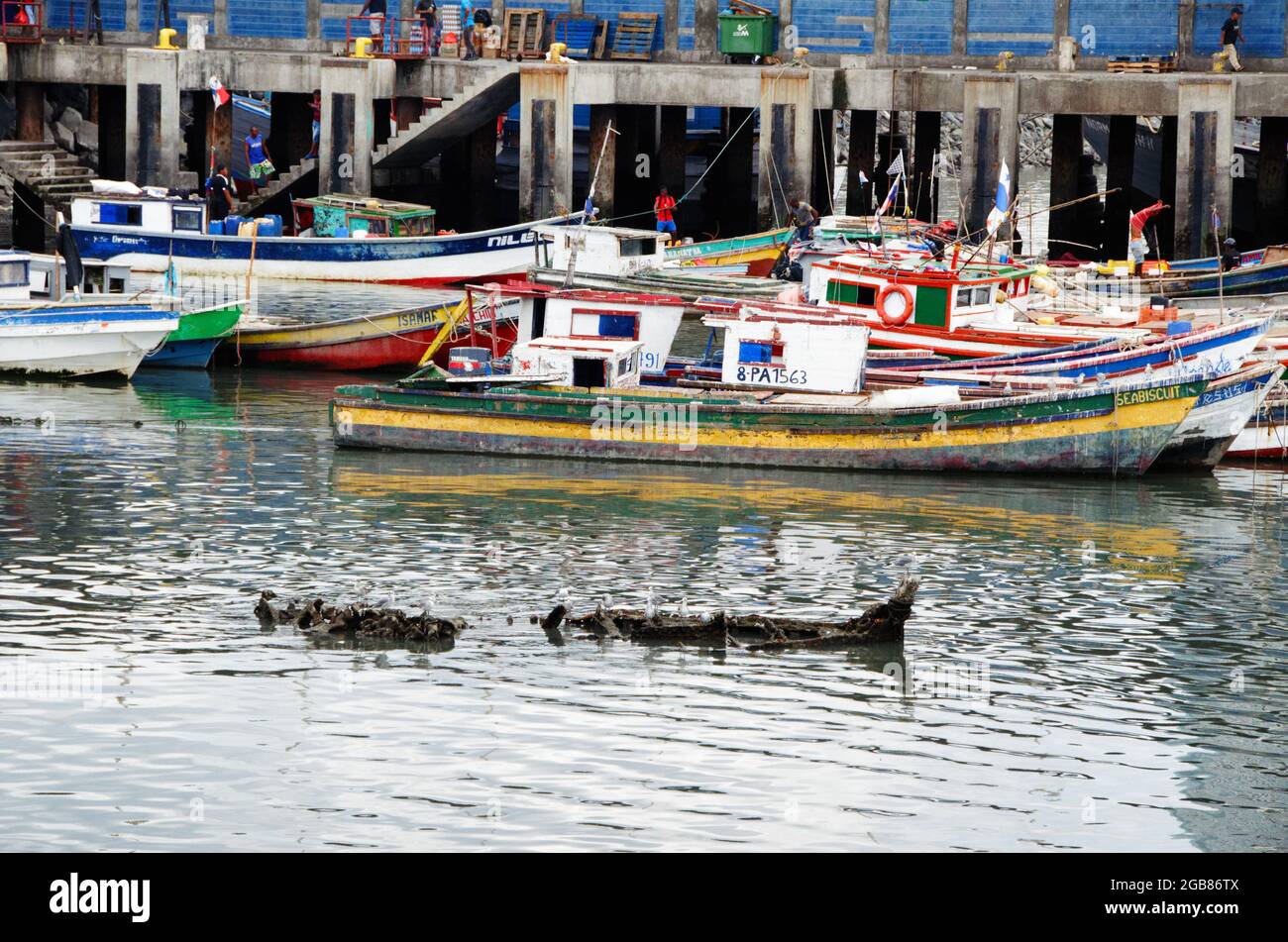 Gebote mit dem Wrack eines Fischerbootes auf dem Fischereimarkt in Panama City, Panama, Mittelamerika ruhen Stockfoto
