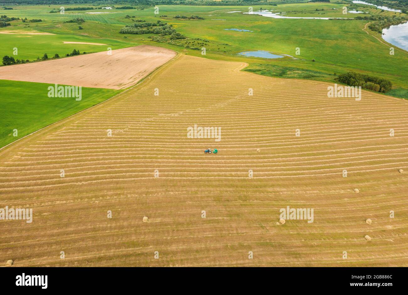 Luftbildtraktor Sammelt Trockenes Gras In Strohballen Im Weizenfeld. Spezielle Landwirtschaftliche Ausrüstung. Heuballen, Heuernte. Stockfoto