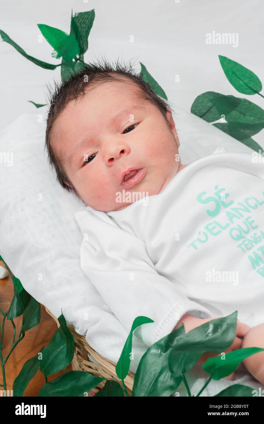 Schönes neugeborenes Baby (4 Tage alt), liegend mit offenen Augen, zerzaust, in Bambusfaserkorb und umgeben von grünen Blättern, gesunde medizinische Konz Stockfoto