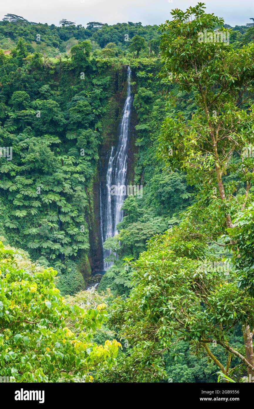 Papapapai-Tai fällt, Upolo, Samoa, Südsee Stockfoto