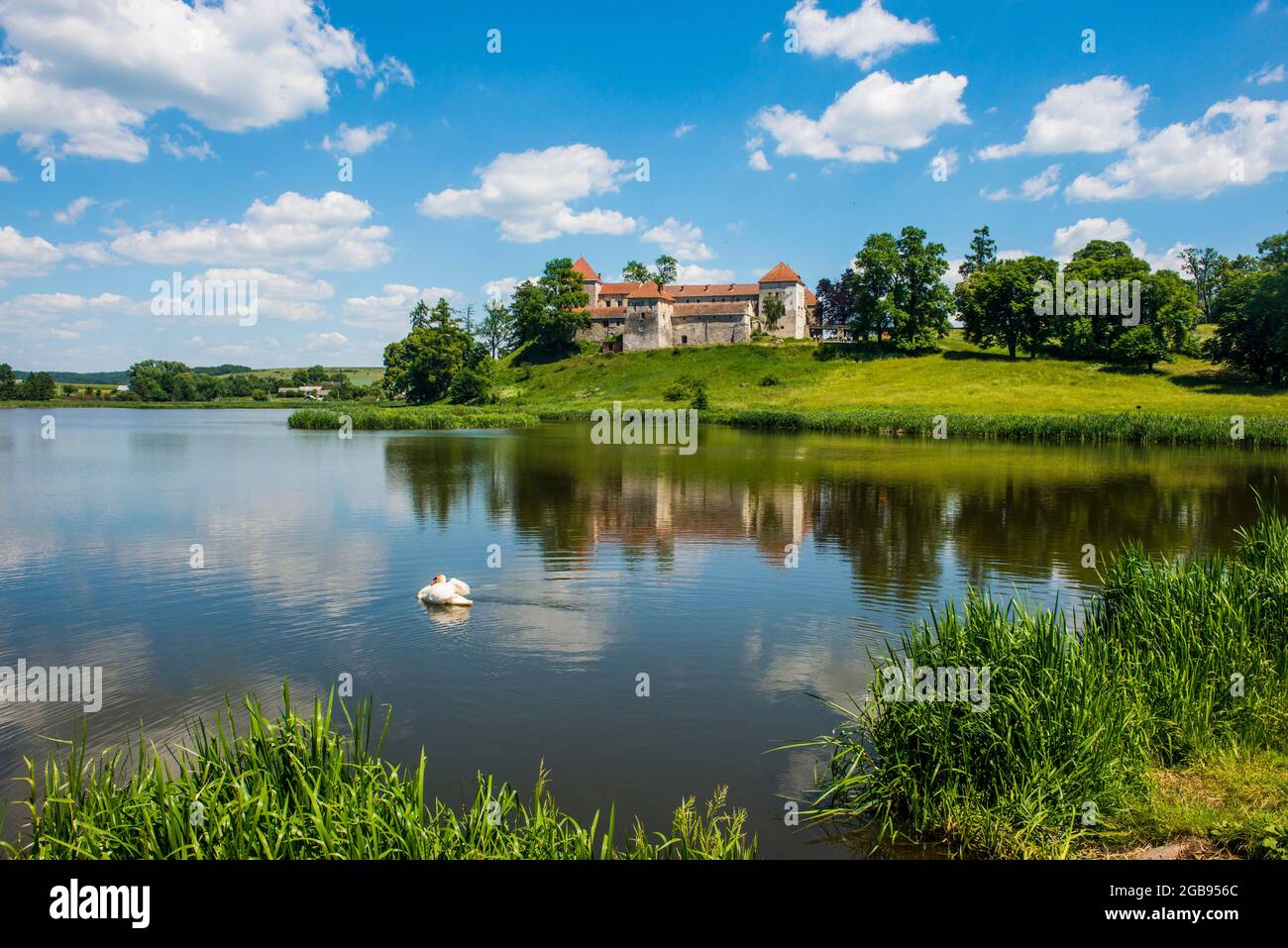 Svirzh Schloss, Oblast Lwiw, Ukraine Stockfoto