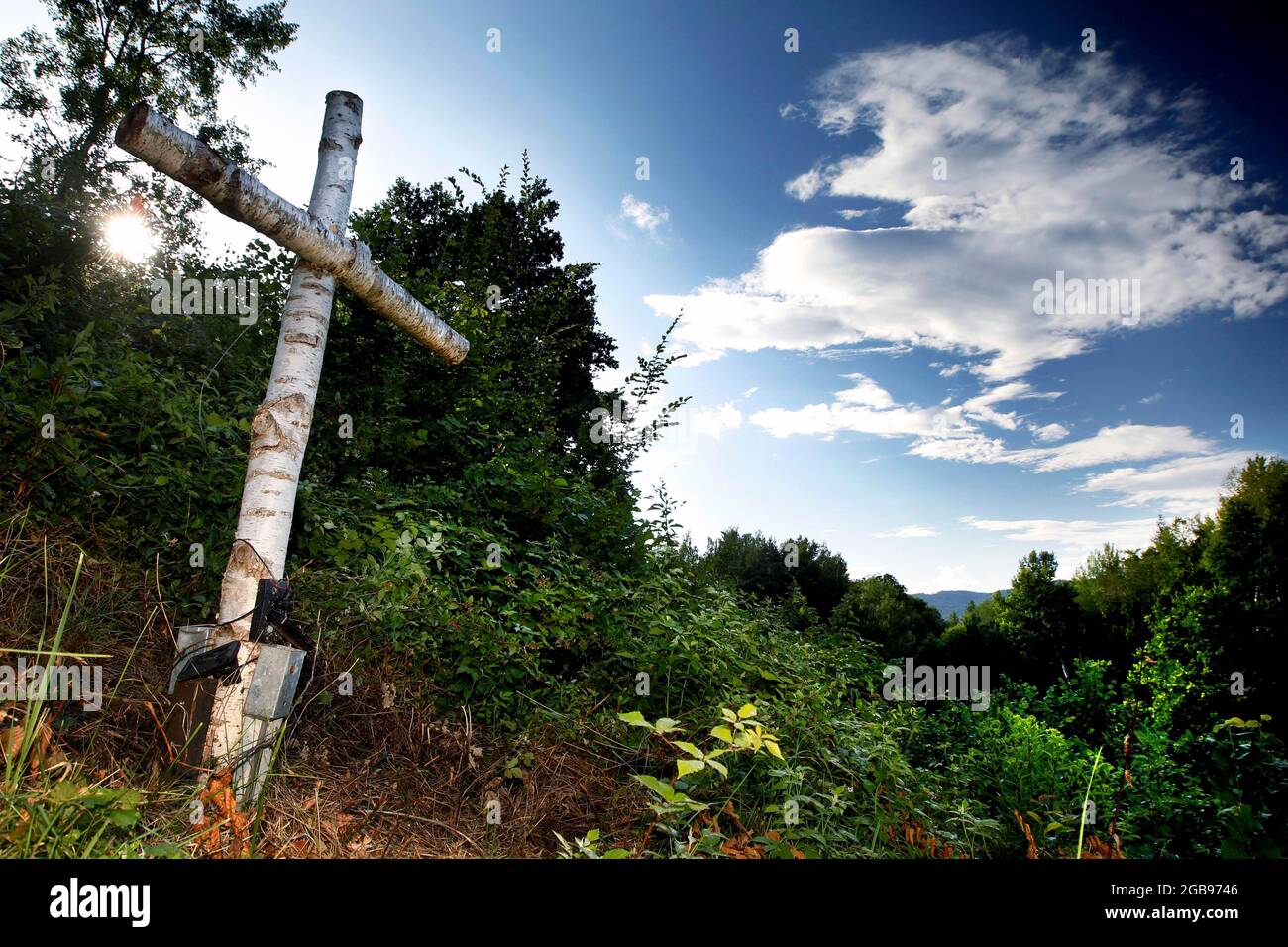 Birkenkreuz, Gedenkkreuz für Heinz-Josef Grosse an der ehemaligen deutsch-deutschen Grenze, Todesstreifen, Kolonnenweg, Lochplattenweg, Gruenes Band Stockfoto