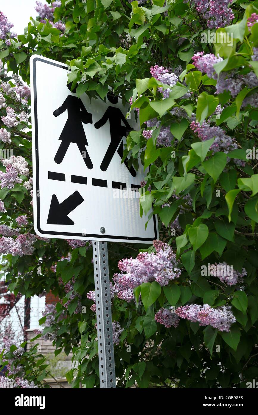 Schild für Fußgänger, Provinz Quebec, Kanada Stockfoto