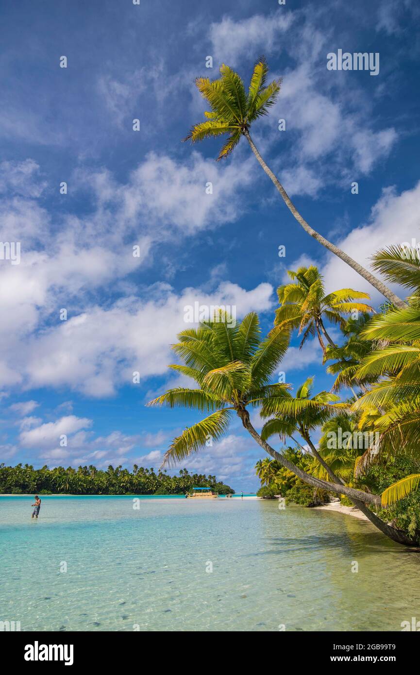 Weißer Sand und palmengesäumter Strand in der Lagune von Aitutaki, Rarotonga und den Cook Inseln Stockfoto