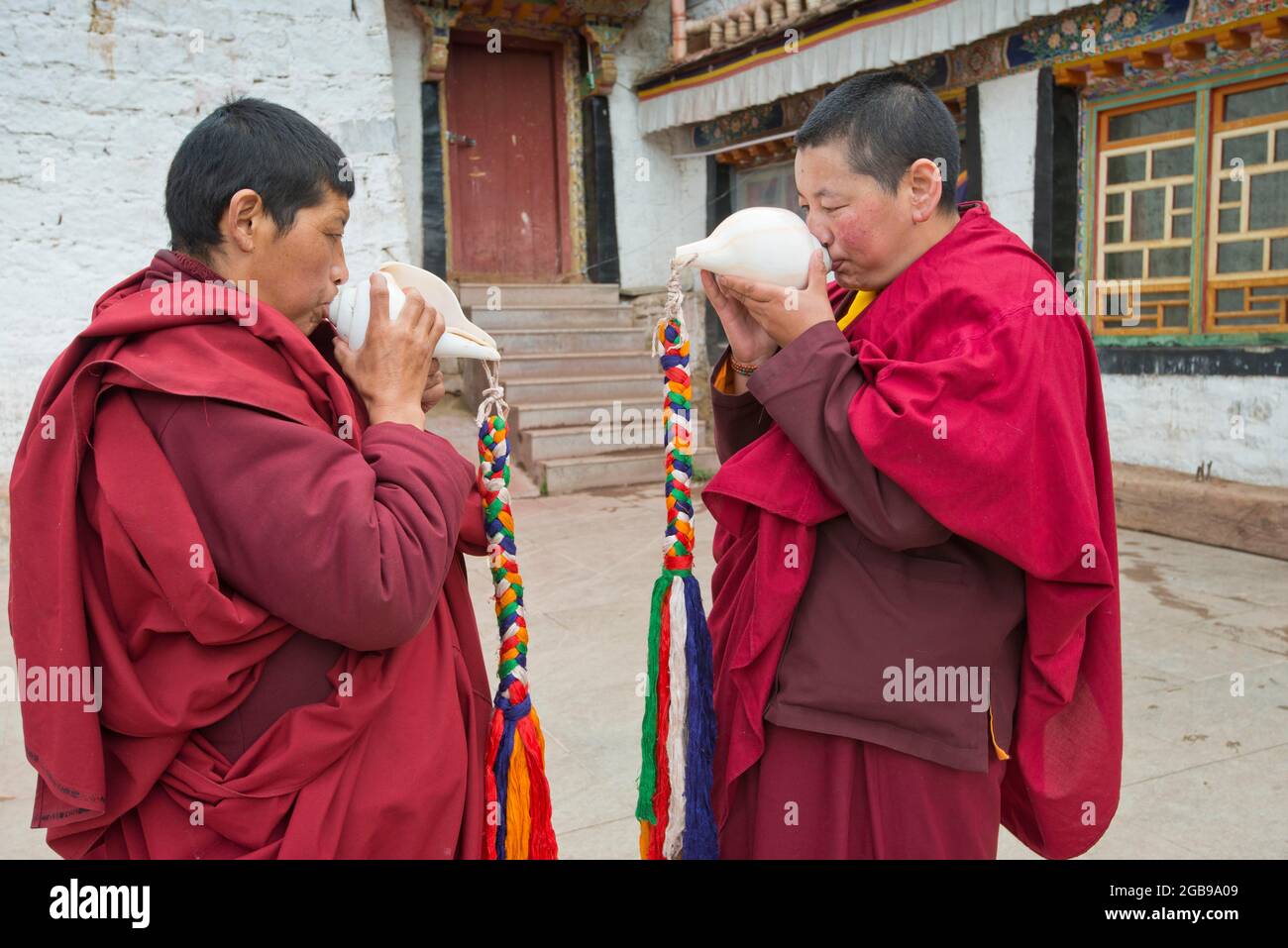 Buddhistische Nonnen im Kloster Terdom Anruf mit dem conch Horn, nonnenkloster Tidro Gompa, terdrom, Tirdrom, Tibet, China Stockfoto