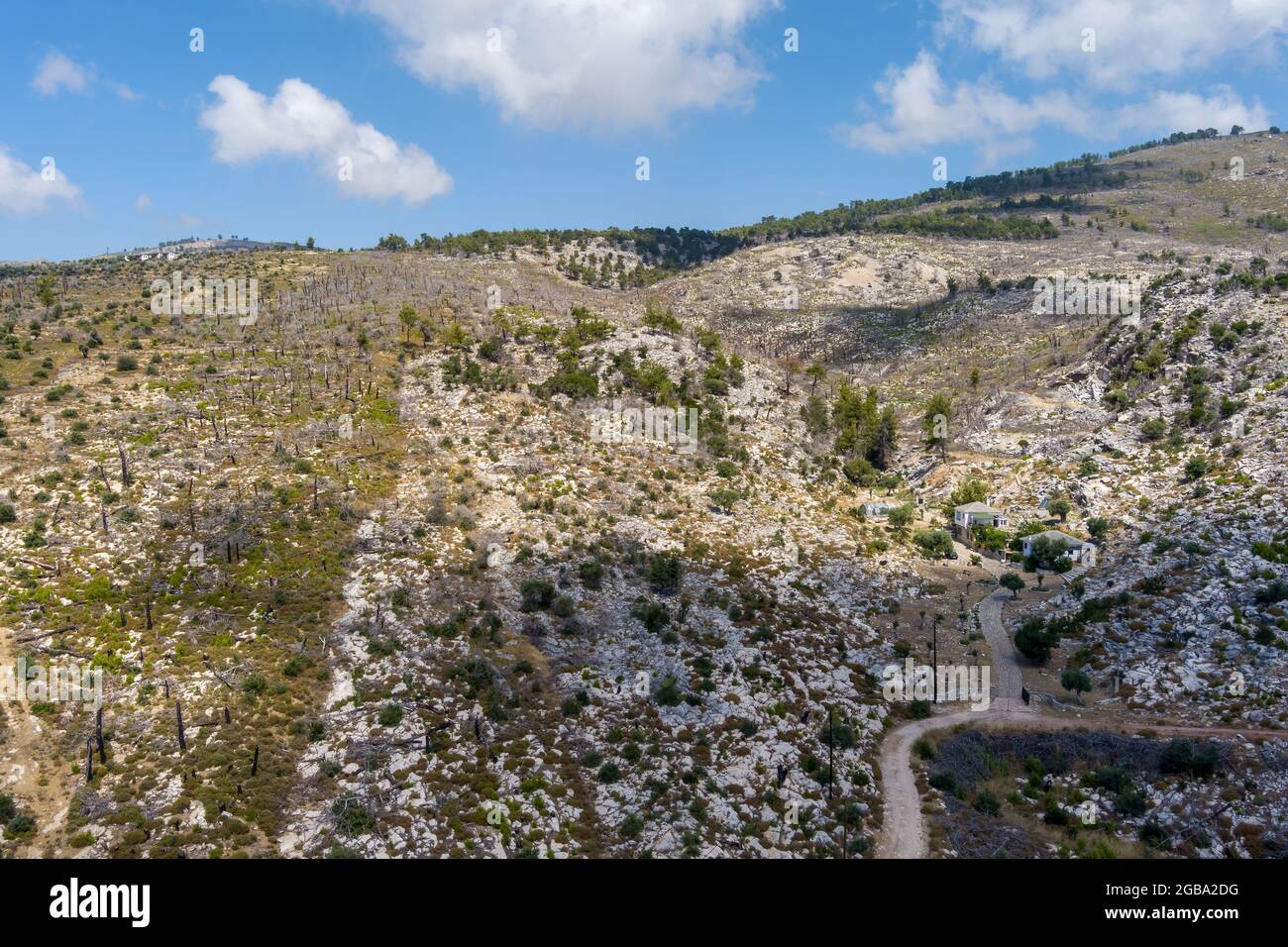 Der verbrannte Wald fünf Jahre nach dem Brand in Aliki Thassos, Griechenland Stockfoto