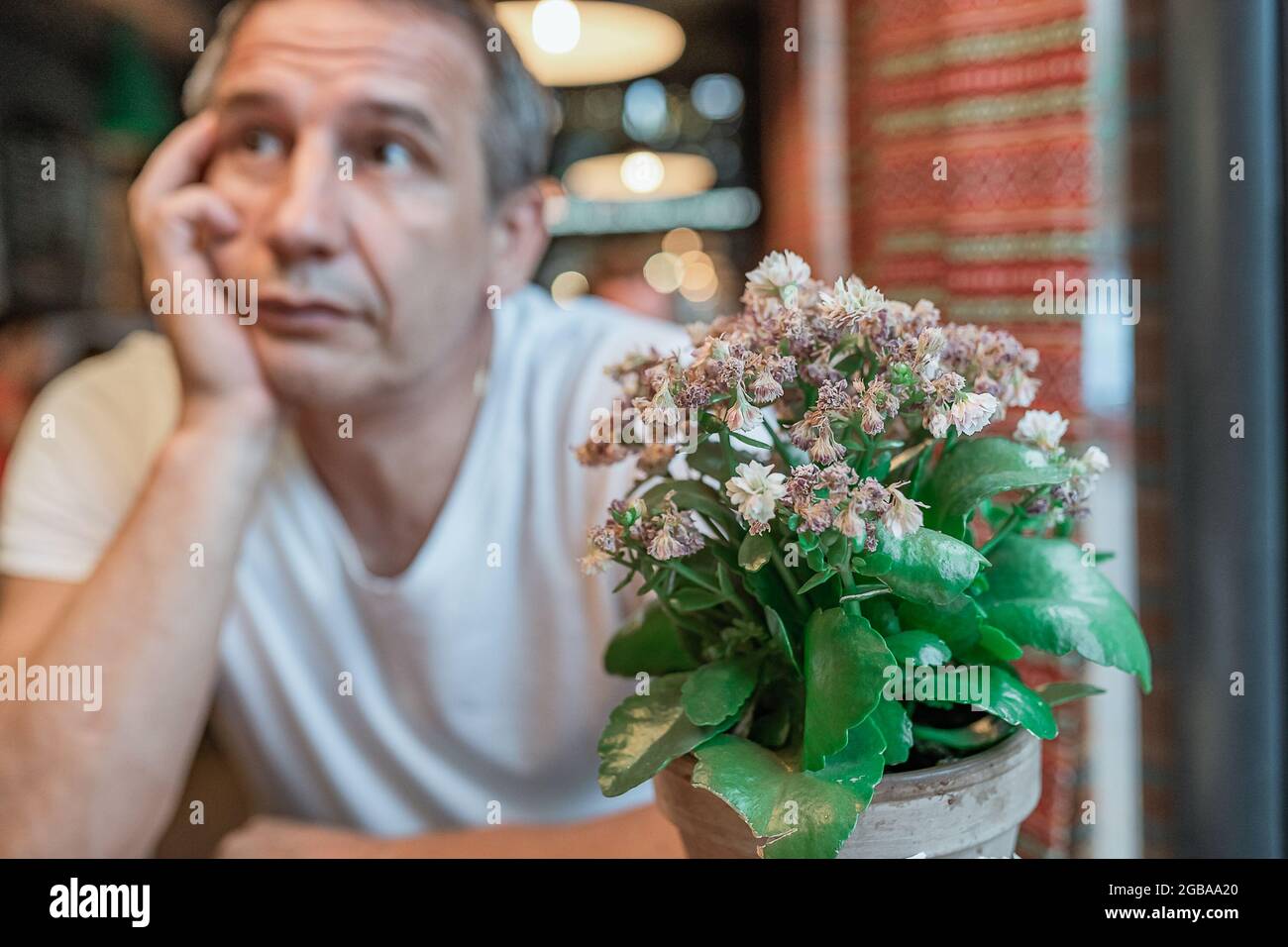 Mann in deprimiertem Zustand mit traurigen Emotionen auf seinem Gesicht, während er im Restaurant mit einer verwelkten Blume im Blumentopf wartete Stockfoto