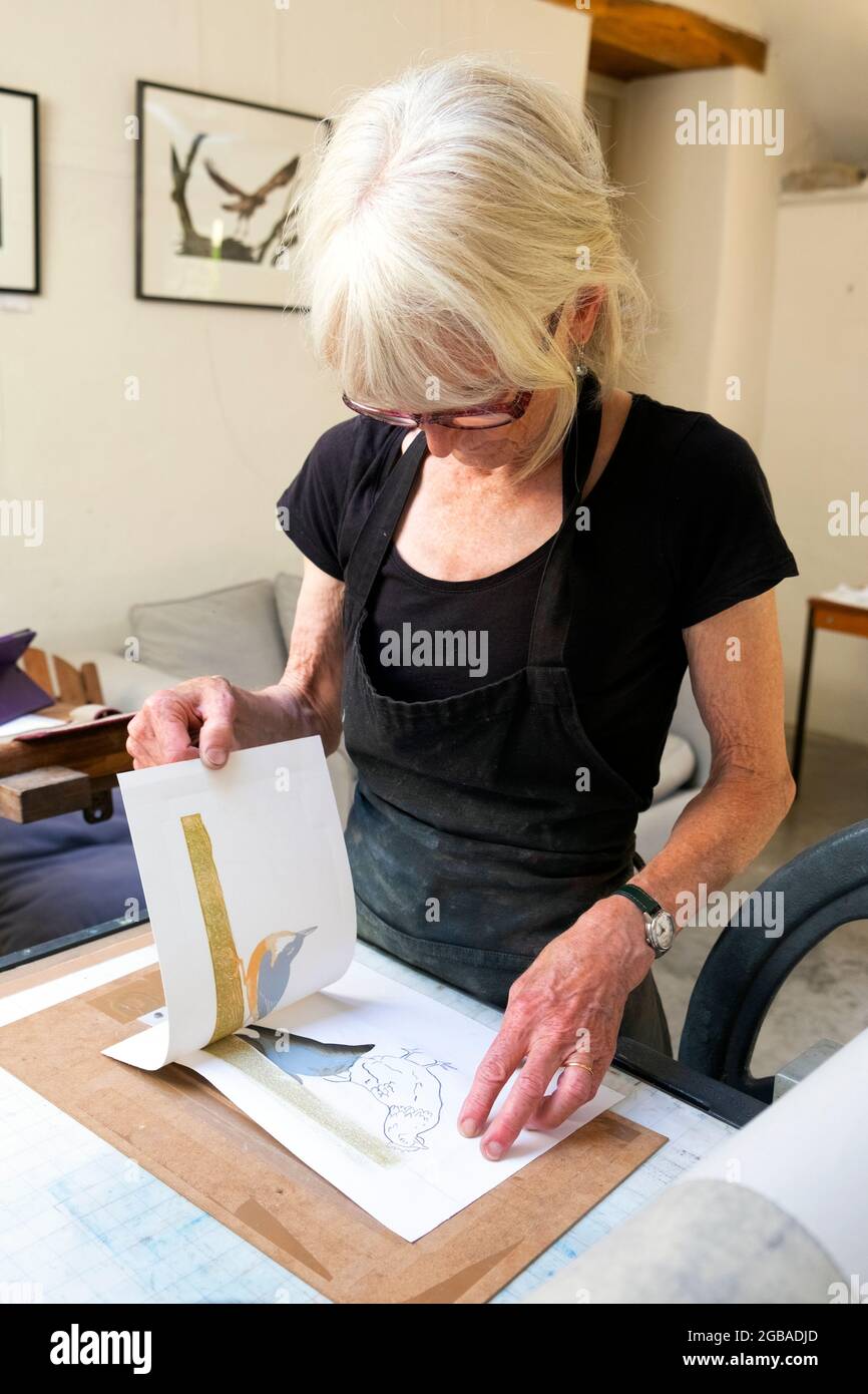 Die britische Künstlerin Vivian Kersey arbeitet an einem Linolschnitt auf einer Littljohn-Radierpresse in ihrer Druckwerkstatt Carmarthenshire Wales UK KATHY DEWITT Stockfoto