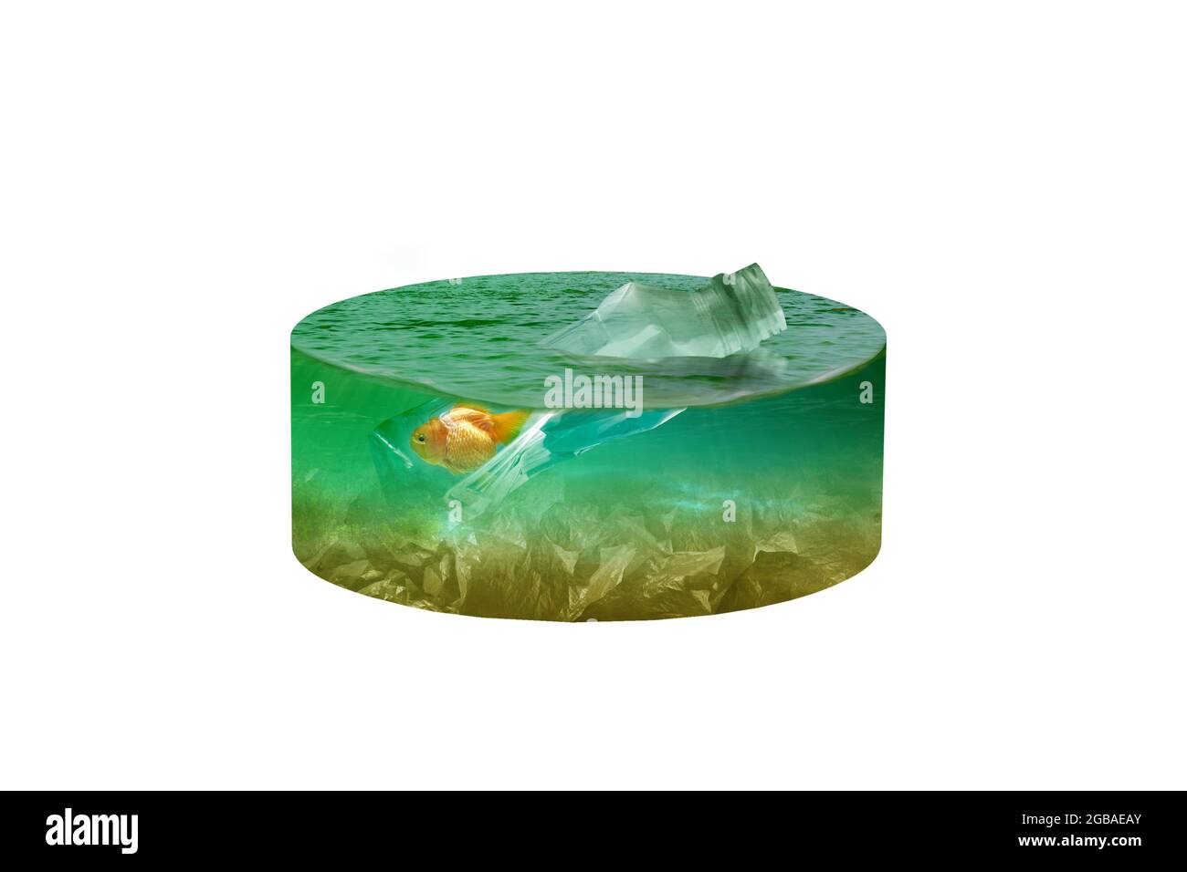 Unterwasseransicht mit Goldfischen, die in einer Plastikflasche auf dem See gefangen sind. Verschmutzung durch Plastik. Umgebungskonzept Stockfoto