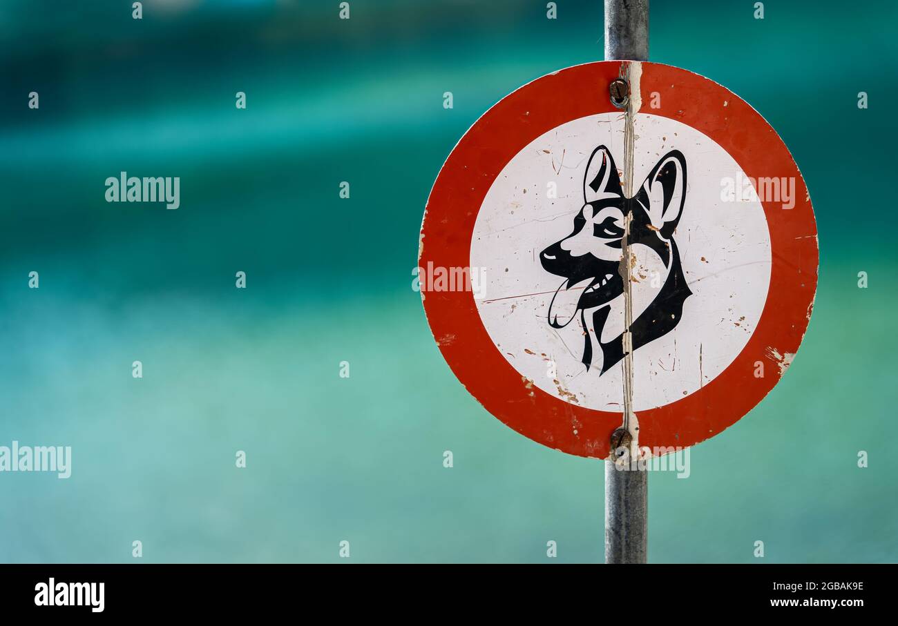 Warnschild, dass es verboten ist, Hunde am See zu laufen Stockfoto