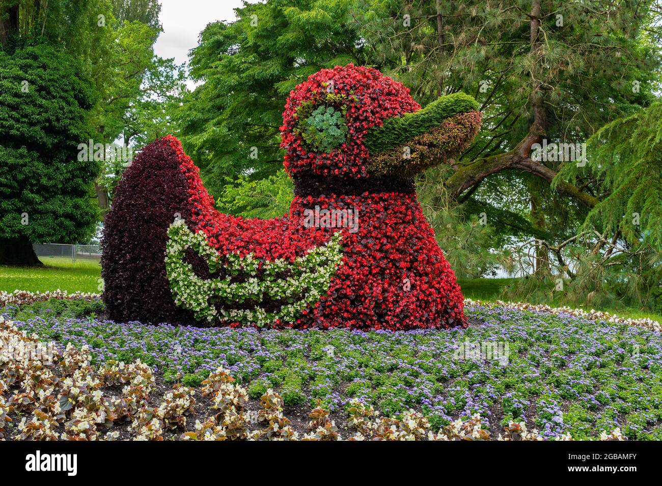 Blumen insel mainau im bodensee Fotos und Bildmaterial in hoher