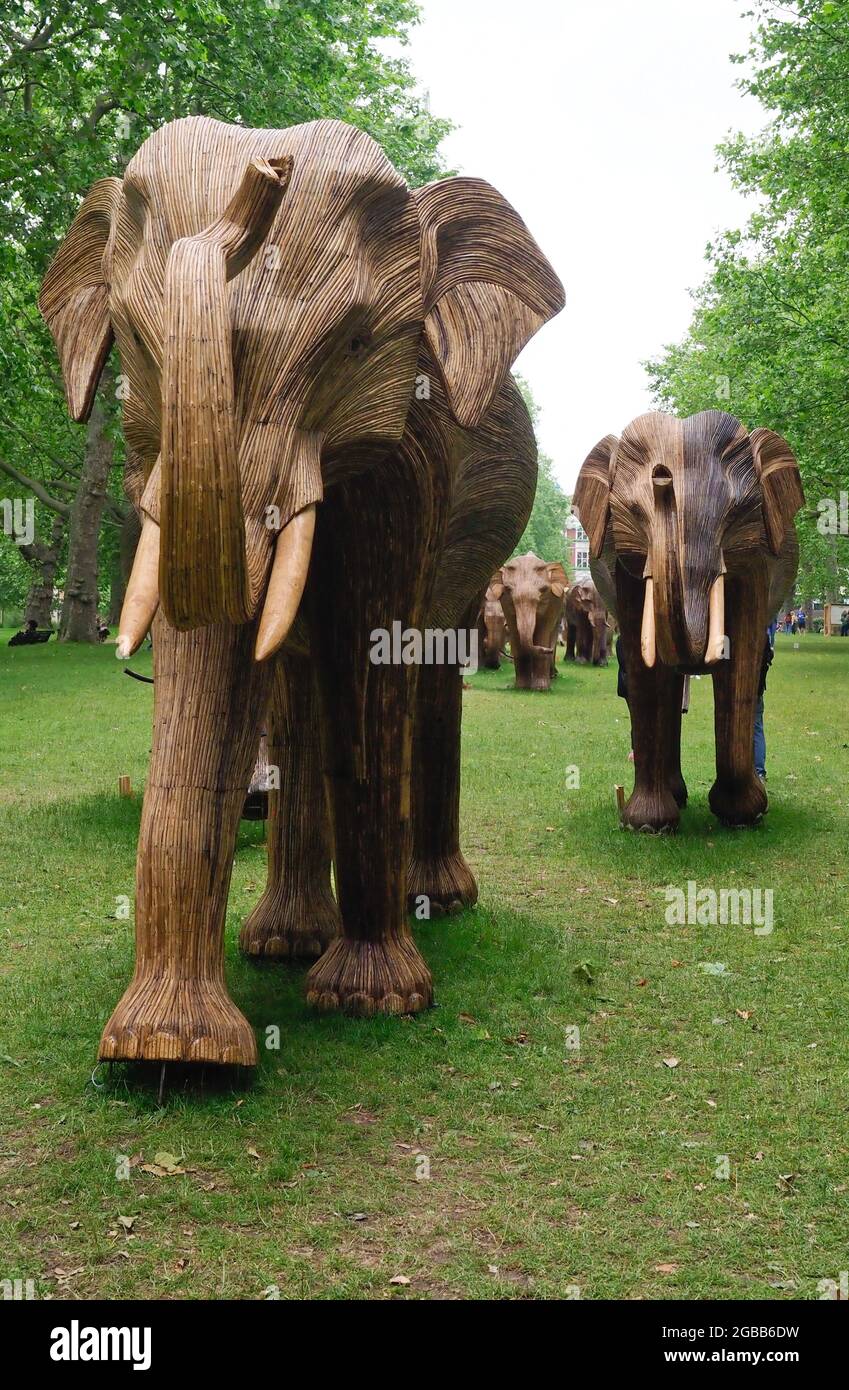 Kraftvolles und dramatisches Bild einer großen Herde von ELEFANTENSKULPTUREN, die direkt zu sehen sind Stockfoto