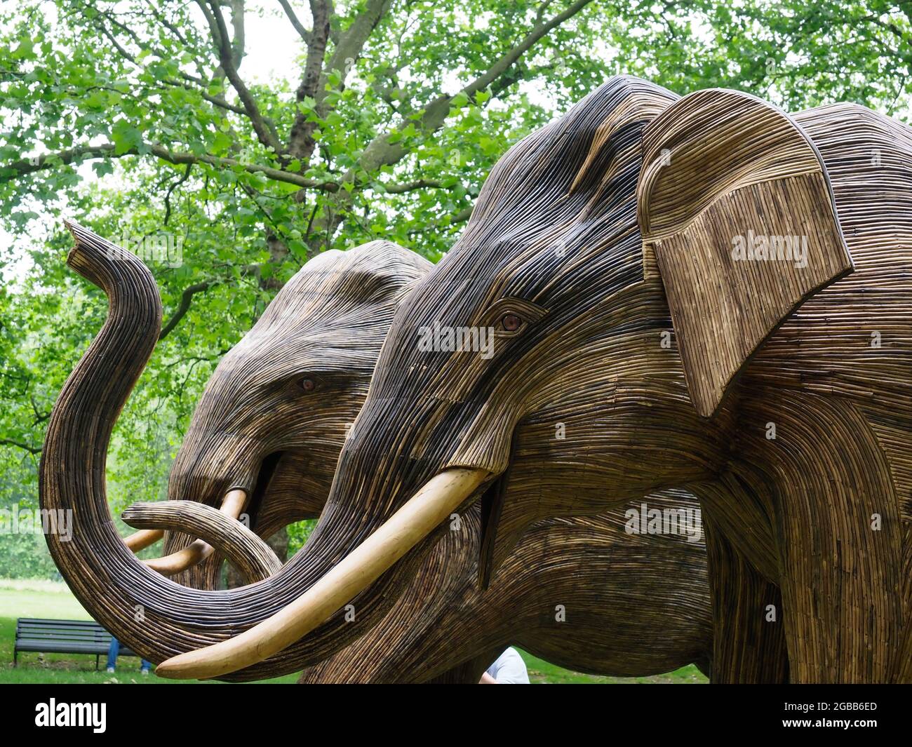 Nahaufnahme der Köpfe und Stämme von zwei Elefantenskulpturen Stockfoto