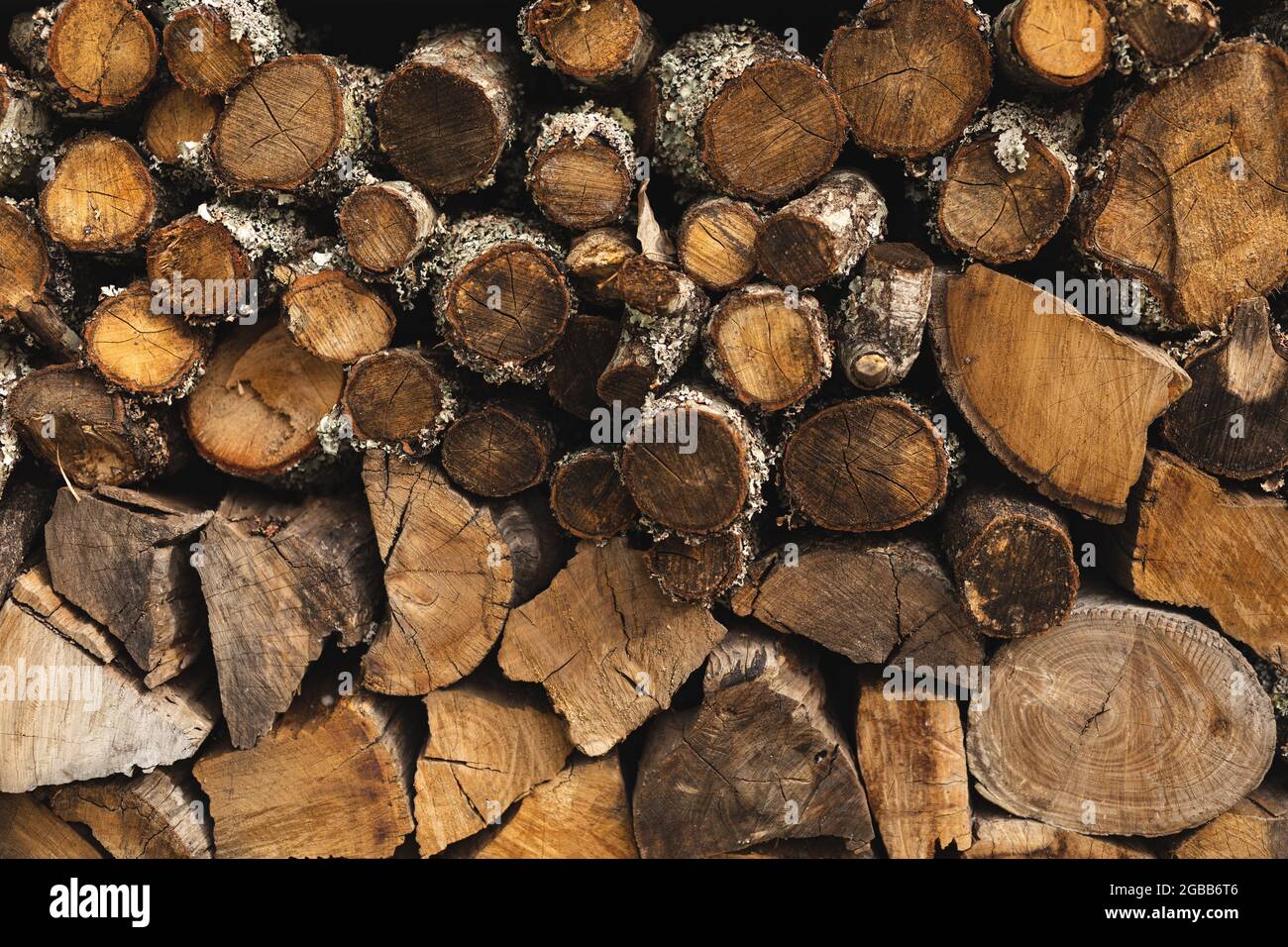 Nahaufnahme des Pfahls und mehrere Holzstämme im Freien gestapelt Stockfoto