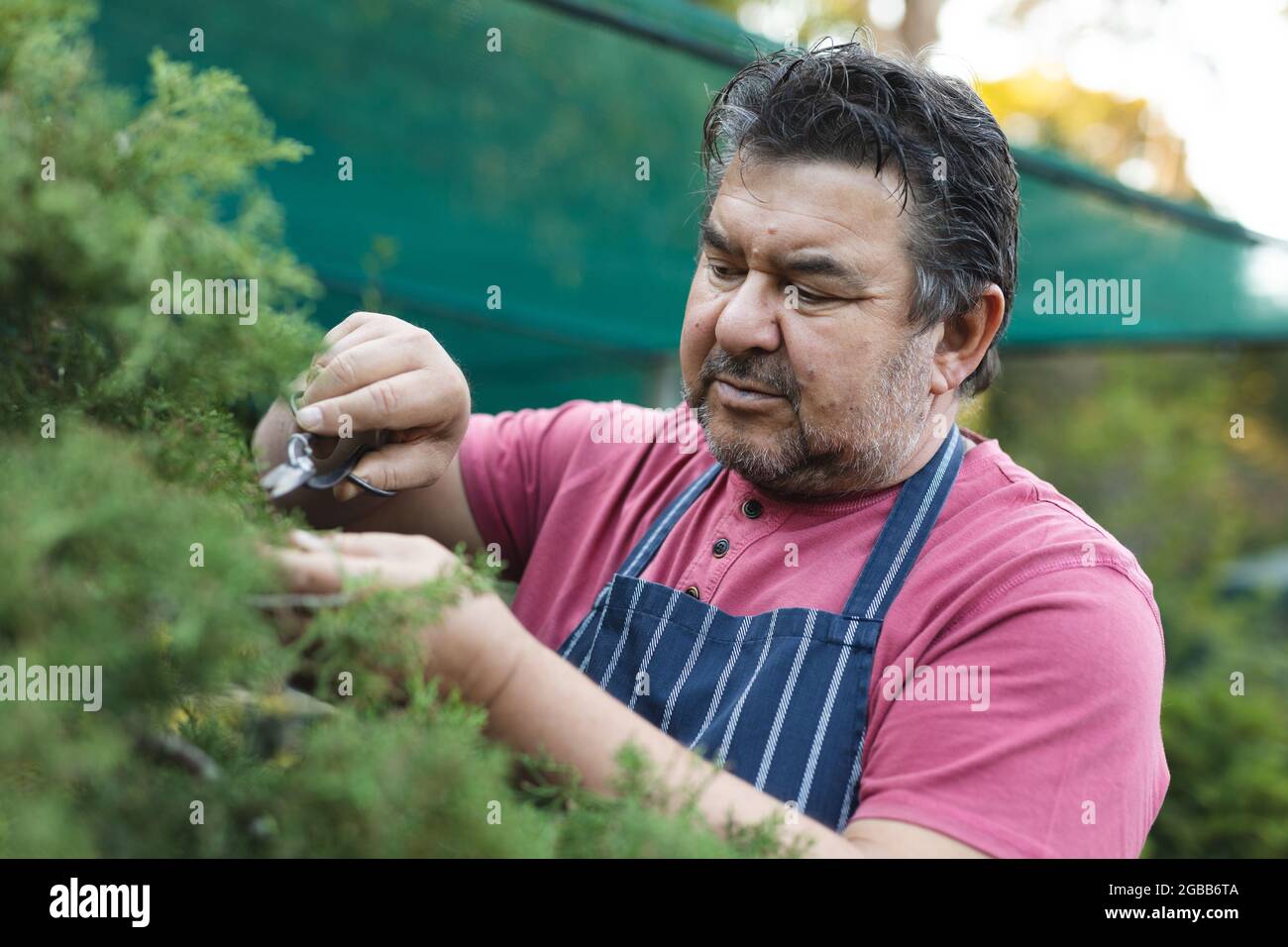 Kaukasischer männlicher Gärtner, der im Gartencenter Bäume schneidet Stockfoto