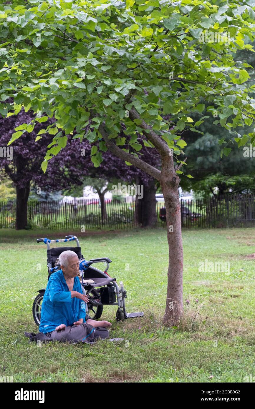 Ein sitzender 86-jähriger Mann macht in der Nähe eines Baumes langsam laufende Falun Gong-Übungen. In einem Park in Queens, New York, ein sehr vielfältiger Ort. Stockfoto