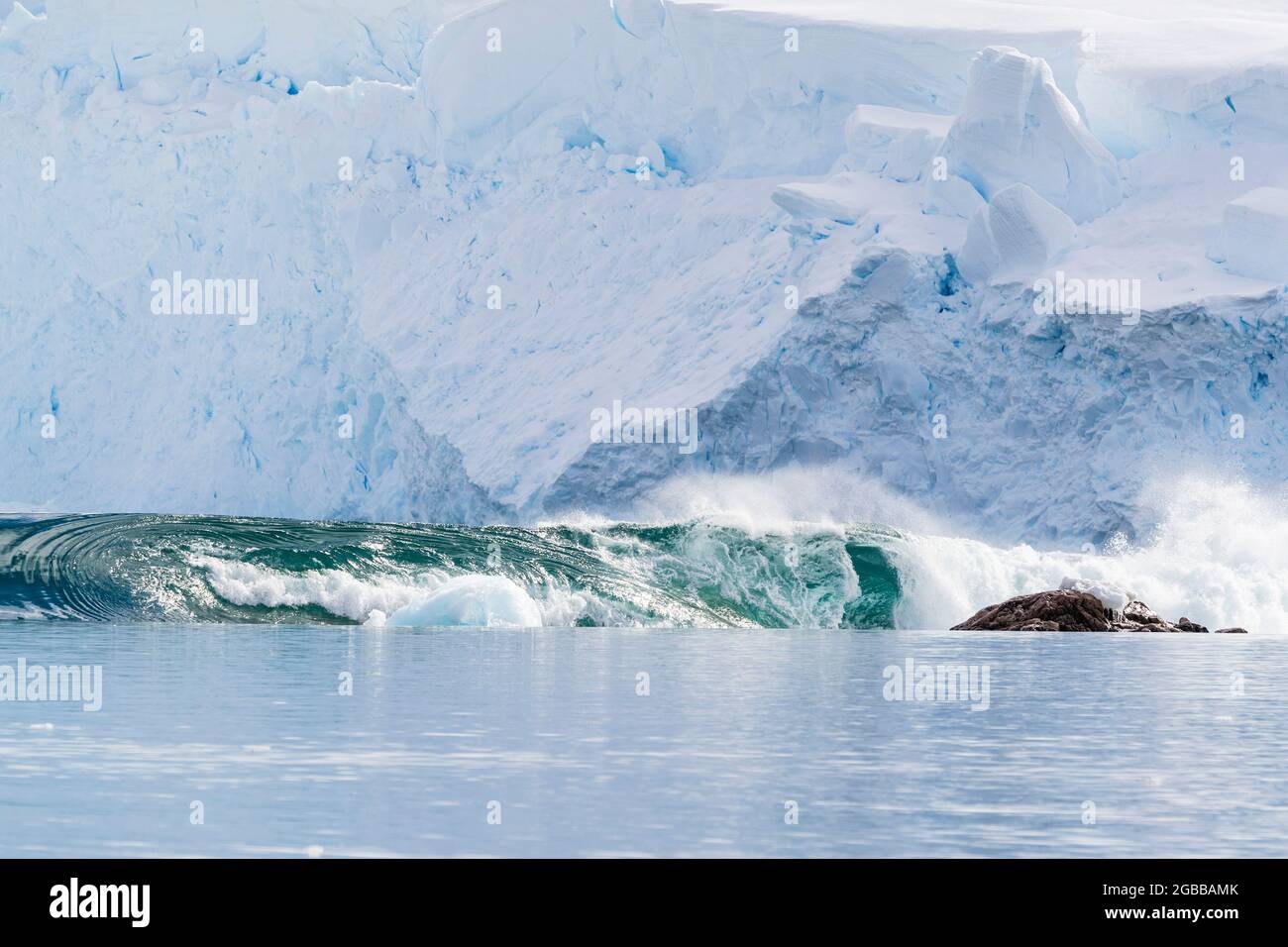 Eine massive Reihe von Wellen bildete sich nach einem riesigen Kalbeereignis vom Gletscher in Neko Harbour, Antarktis, Polarregionen Stockfoto