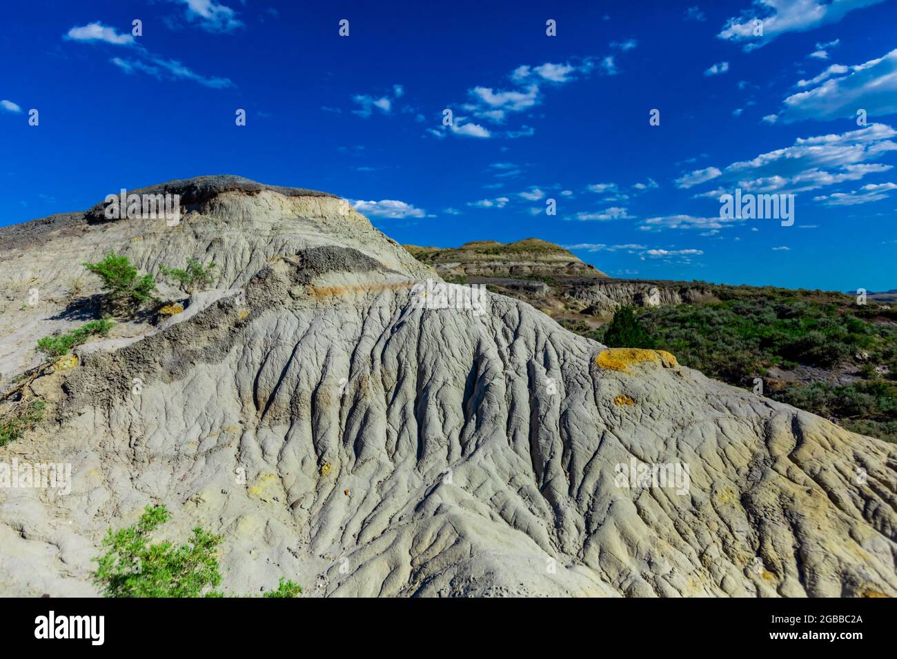 Schöner Anblick auf dem Petrified Forest Loop Trail im Theodore Roosevelt National Park, North Dakota, USA, Nordamerika Stockfoto