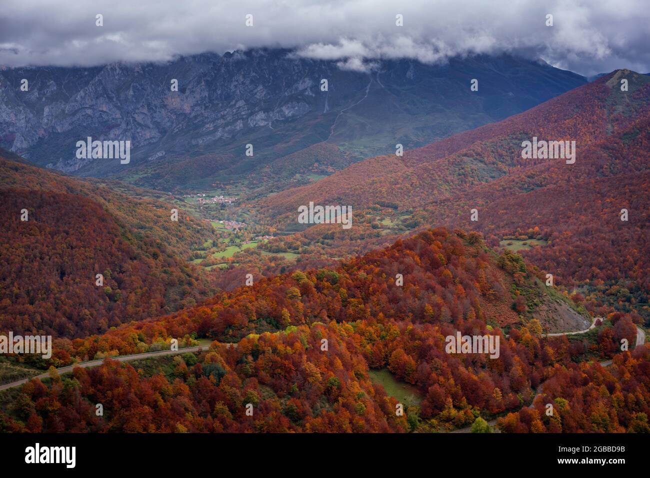 Straßenüberquerung wunderschöne bunte Herbstbaumlandschaft im Picos de Europa Nationalpark, Leon, Spanien, Europa Stockfoto