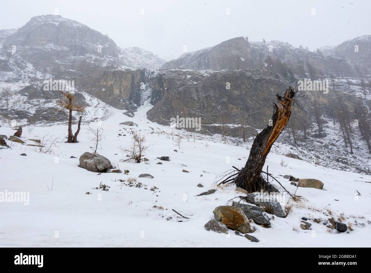 Nationalpark Gran Paradiso, Aostatal, Italien, Europa Stockfoto