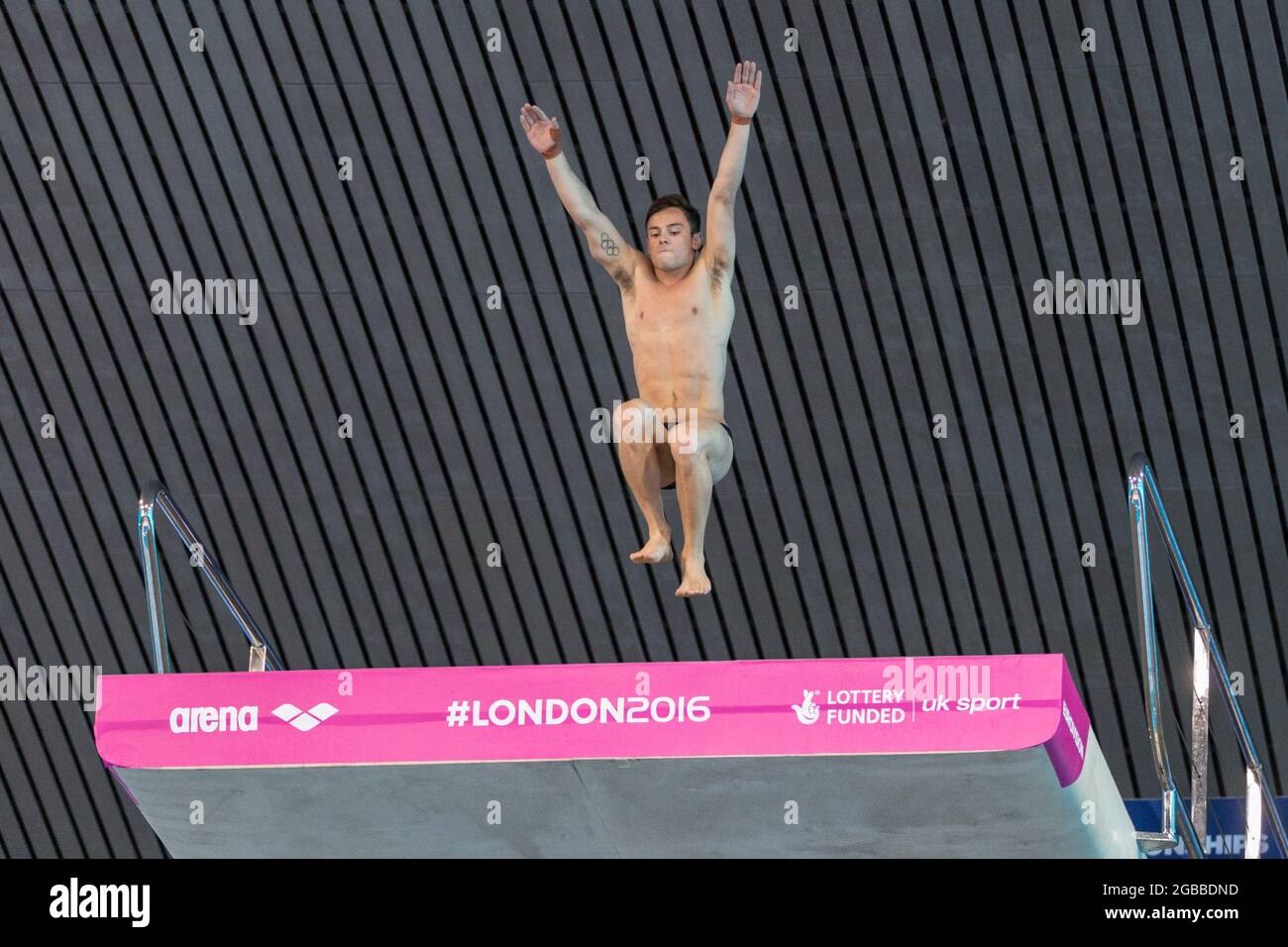 Der britische Taucher Tom Daley (Thomas Daley) 10 m Plateautauchgang, European Diving Championships 2016, London, Großbritannien Stockfoto