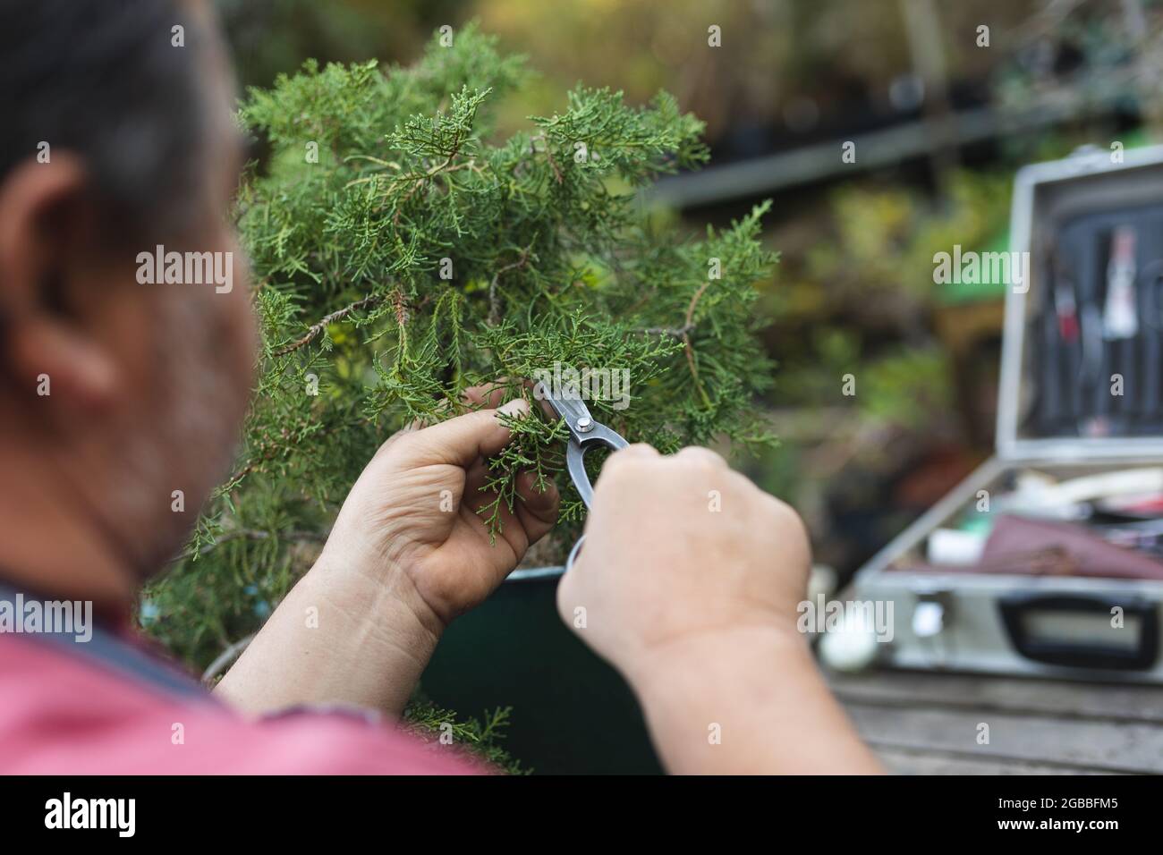 Nahaufnahme eines männlichen Gärtners aus Kaukasier, der Bäume im Gartencenter schneidet Stockfoto