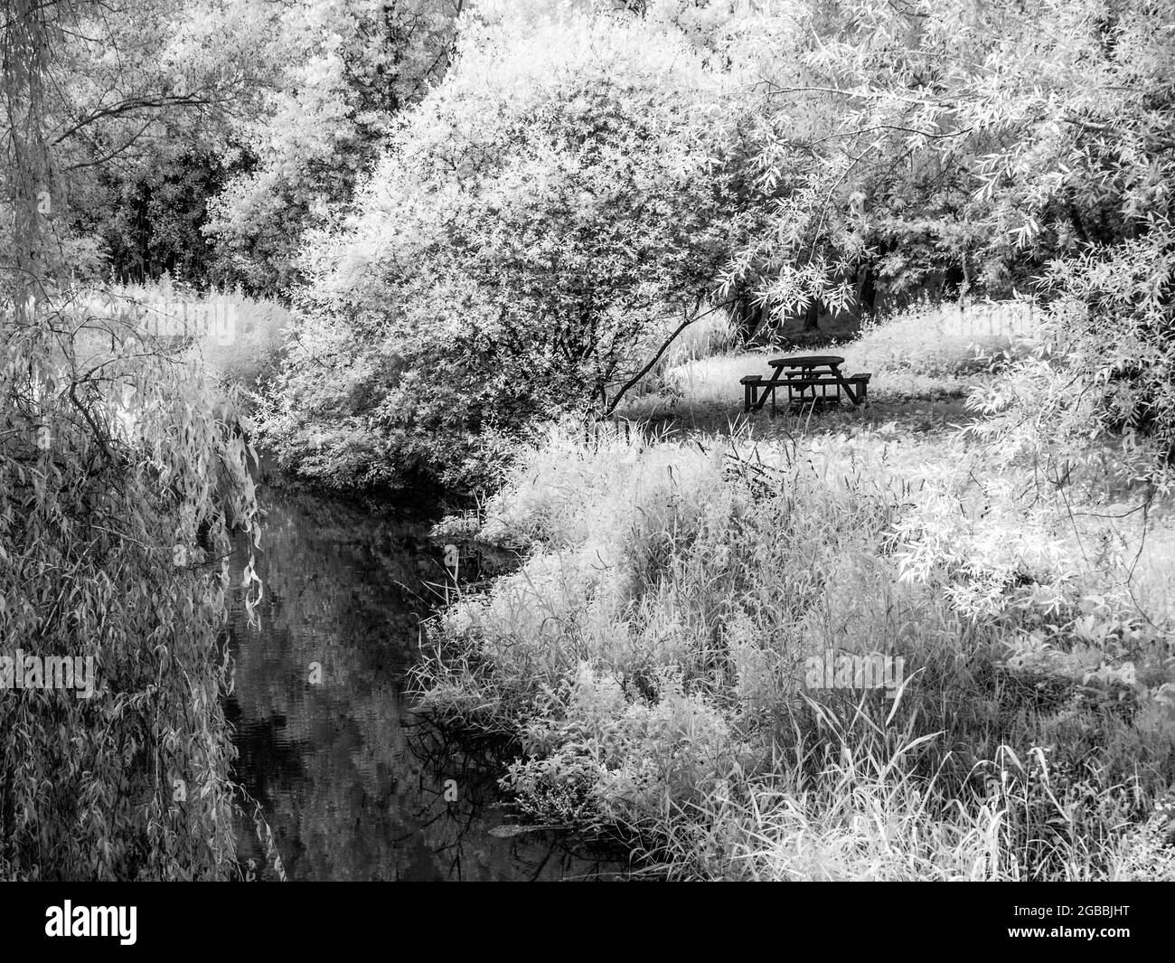 Der River Kennet in der Nähe von Marlborough in Wiltshire, aufgenommen im Infrarotbereich. Stockfoto