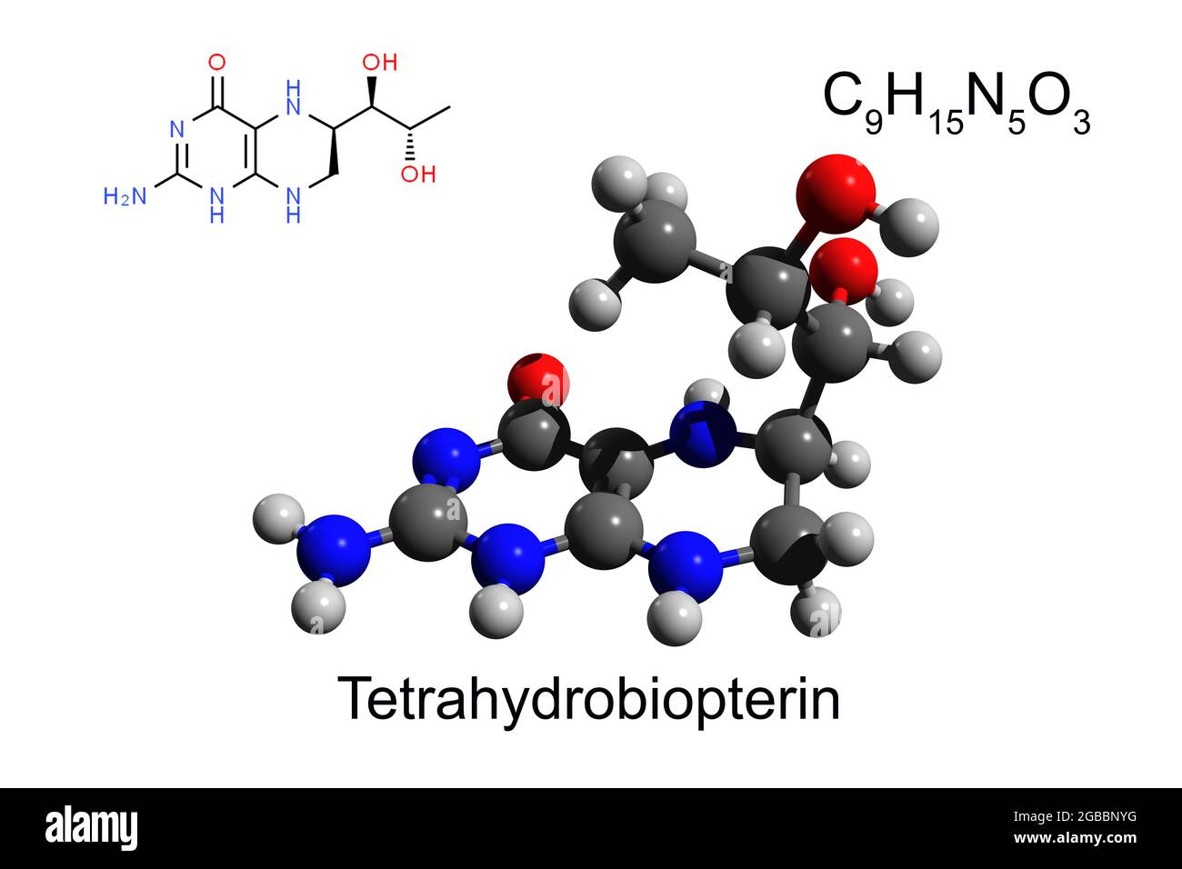 Chemische Formel, Strukturformel und 3D-Ball-and-Stick-Modell des Kofaktors Tetrahydrobiopterin, weißer Hintergrund Stockfoto