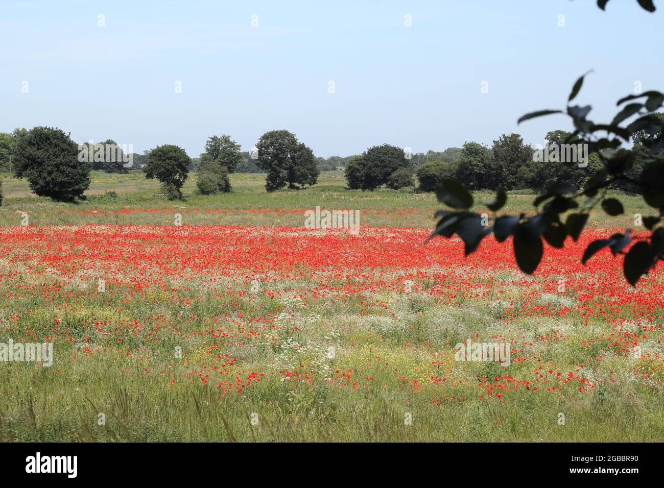 Theobalds Park, Waltham Cross, schlug einen neuen Standort der Sunset Film Studios in Hertfordshire vor Stockfoto