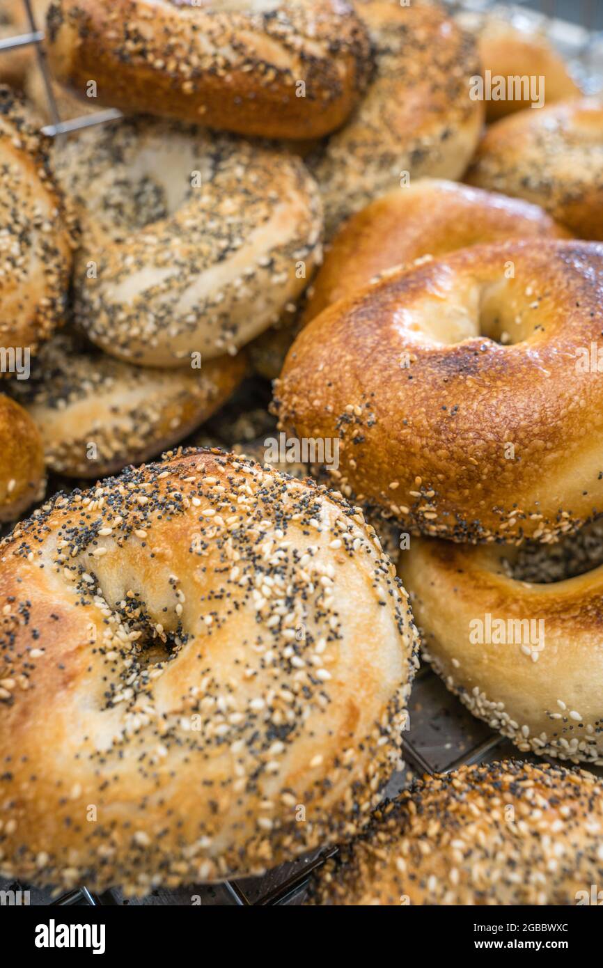 Nahaufnahme von frisch gebackenen Bagels mit Samen darauf. Stockfoto