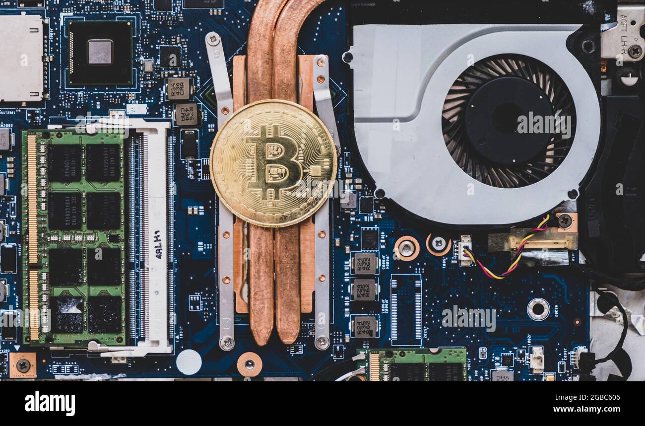 Gold BTC-Münze zur Gewinnung von Kryptowährungen zwischen Computerschaltungen. Stockfoto