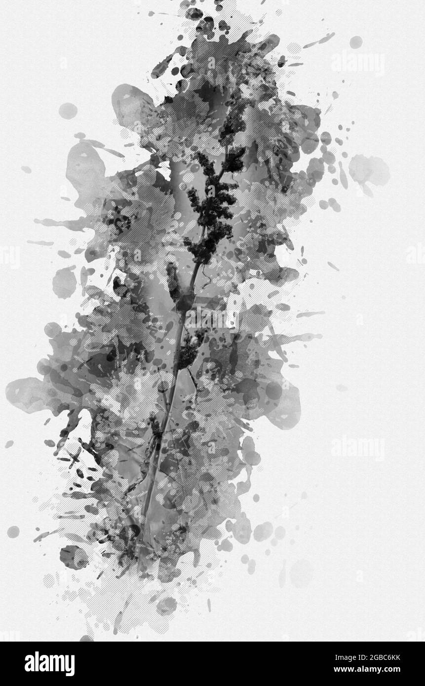 Watercolor Field Stockfotos Und Bilder Kaufen Seite 3 Alamy